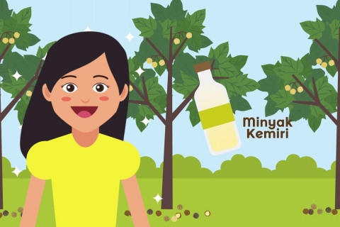 Embedded thumbnail for Mari Mengenal Hasil Hutan Bukan Kayu 